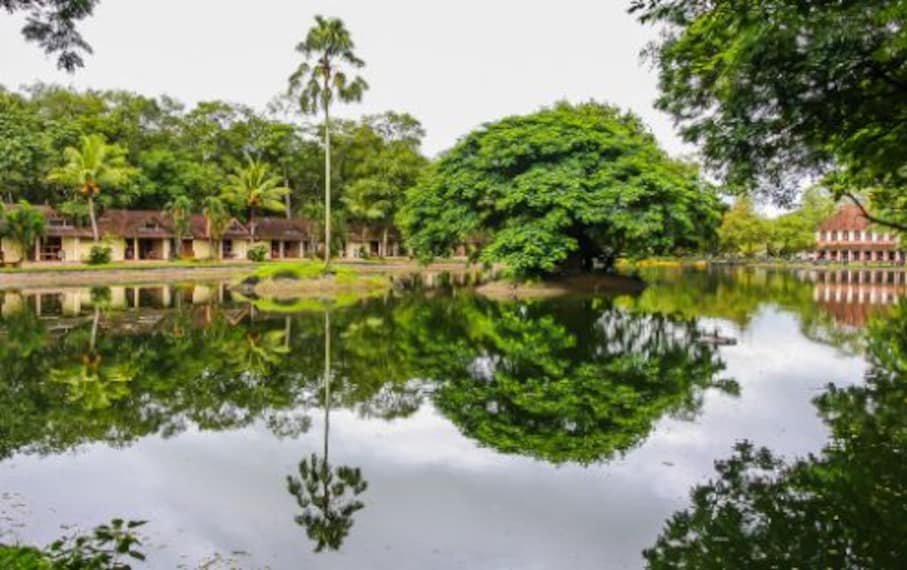 Kumarakom Backwaters-3